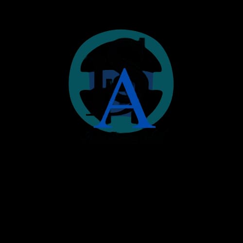ACINI DRIVING SCHOOL