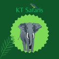 KT & Safaris