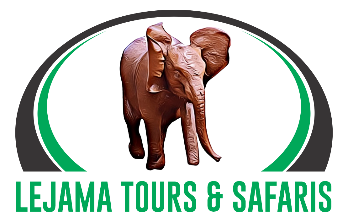 Lejama Tours