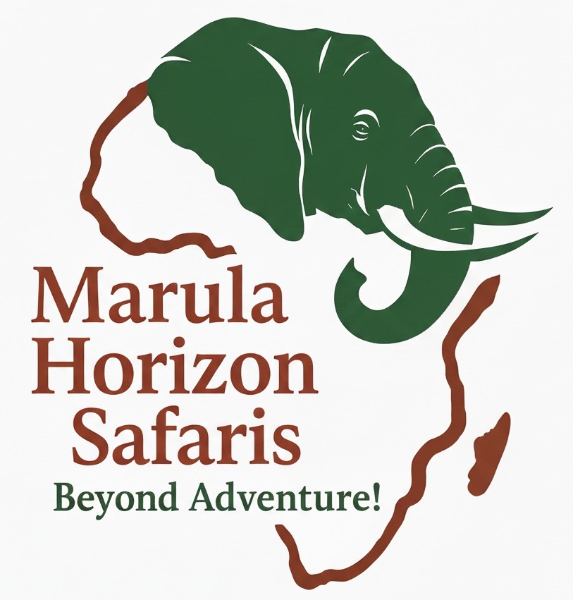 Marula Horizon Safaris