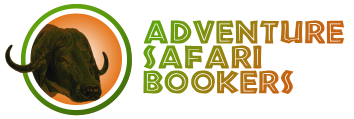 Safaris  Adventure Bookers