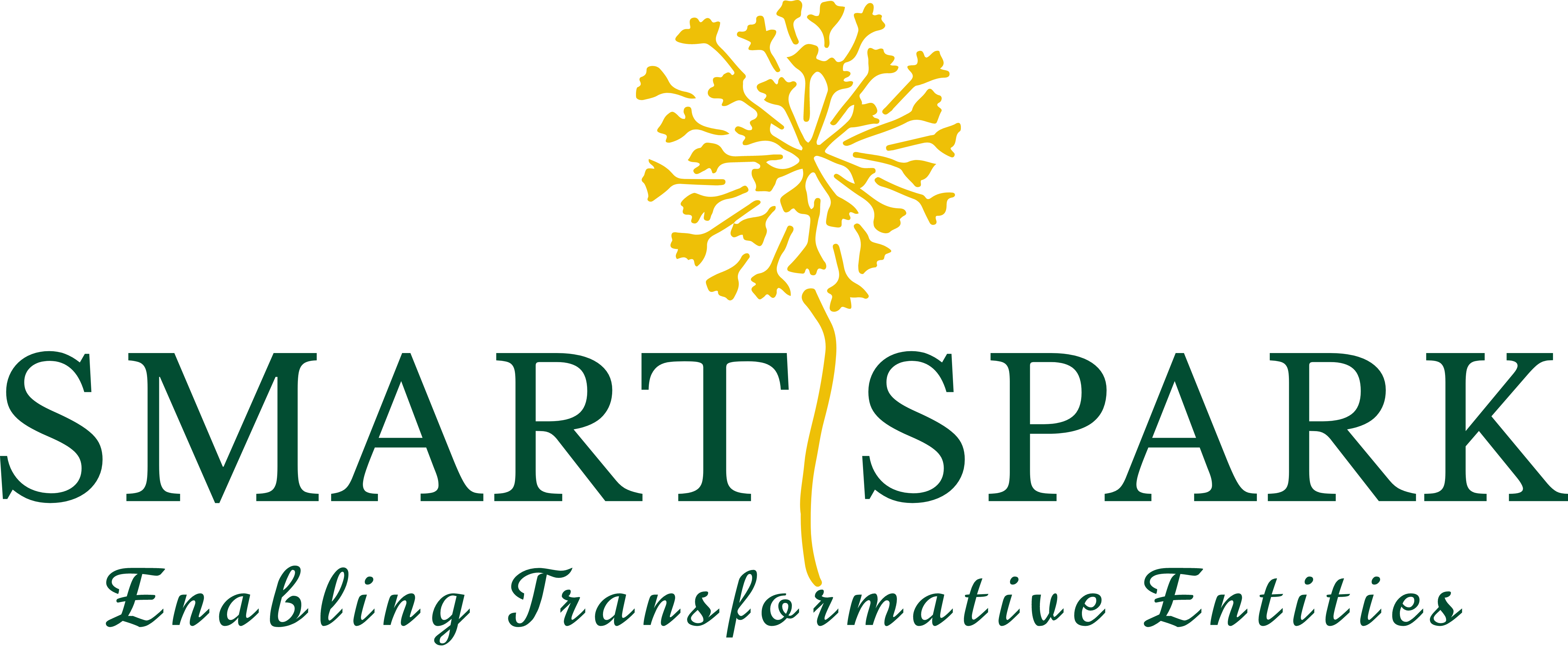 Smart Sparks Venture Limited