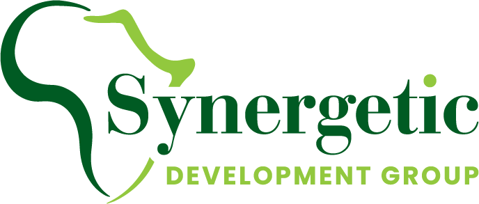 Synergetic Development Group